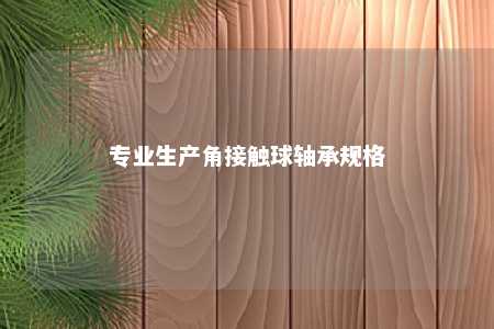 专业生产角接触球轴承规格 